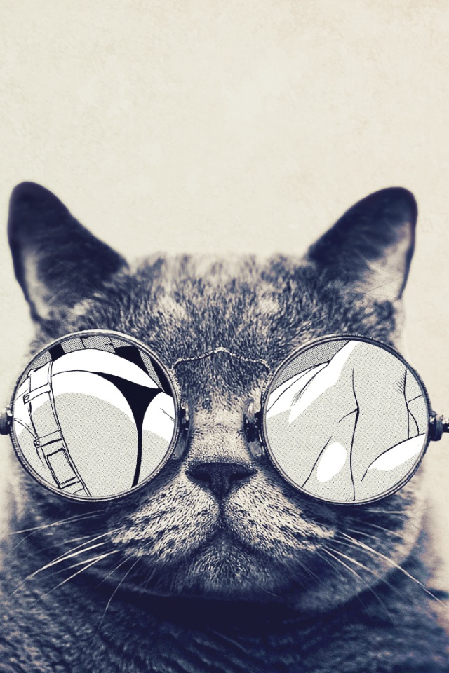 mini carta da parati ipad tumblr,gatto,barba,bicchieri,occhiali,felidae