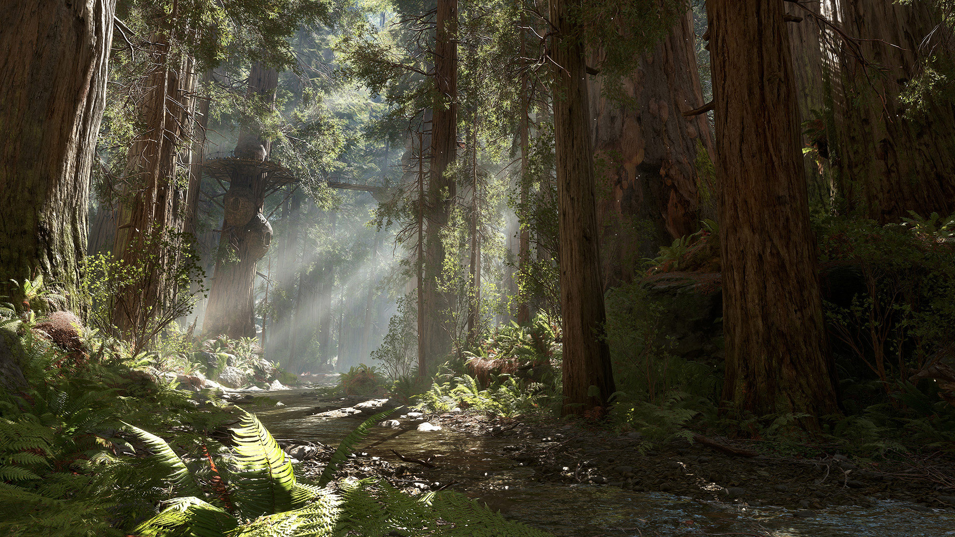 fondo de pantalla de star wars planet,bosque,bosque de crecimiento antiguo,árbol,naturaleza,bosque