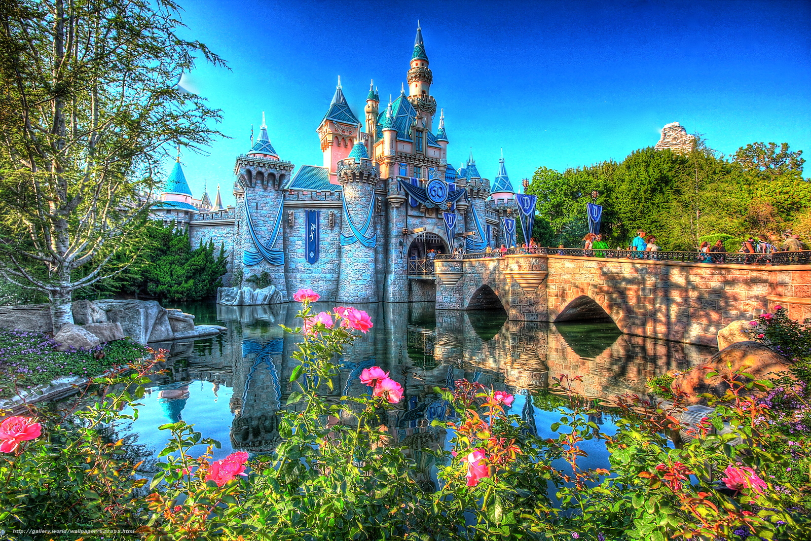 fond d'écran disneyland,la nature,ciel,paysage naturel,architecture,jardin