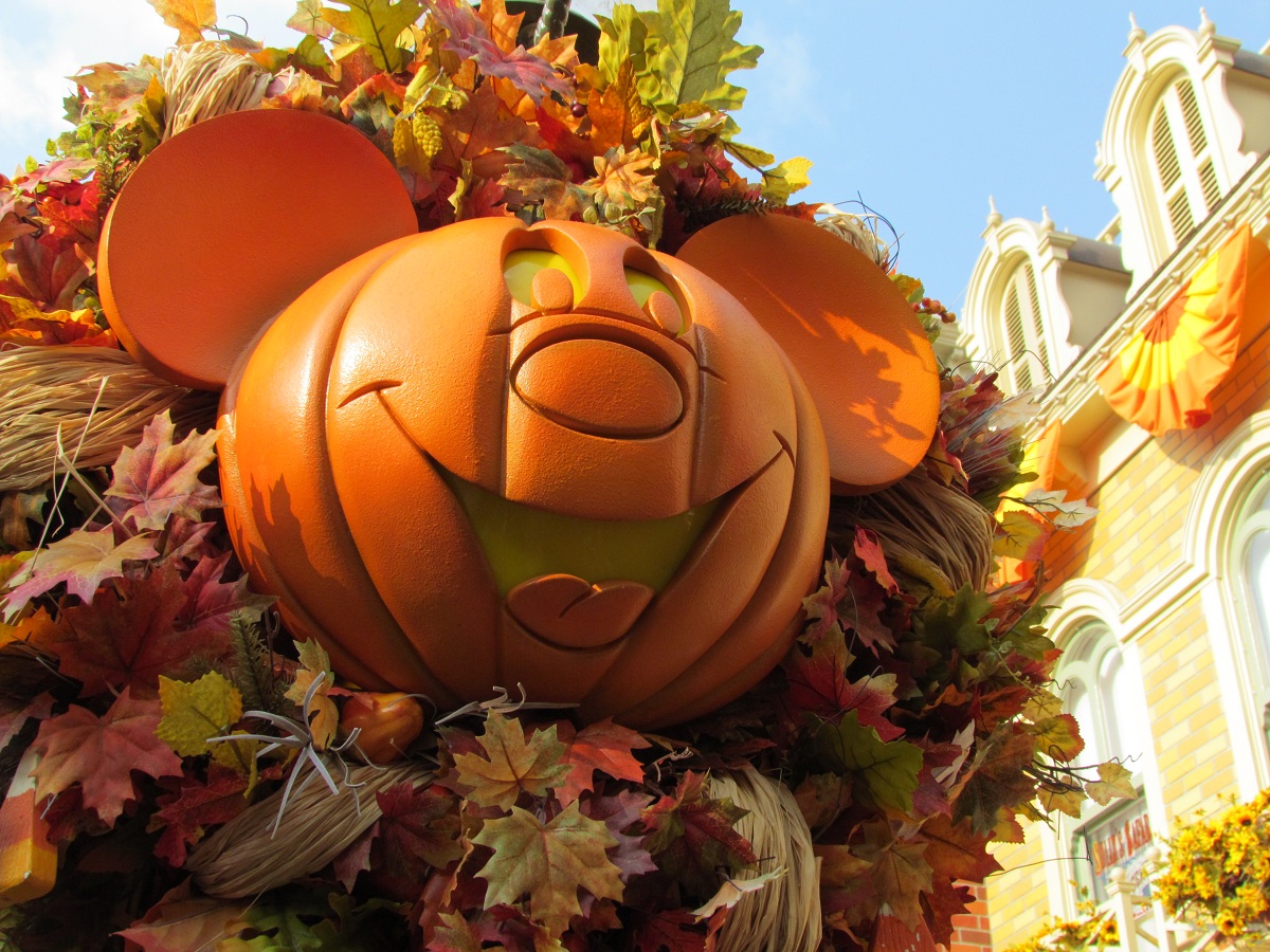 ディズニーの秋の壁紙,かぼちゃ,感謝祭,秋,葉,工場