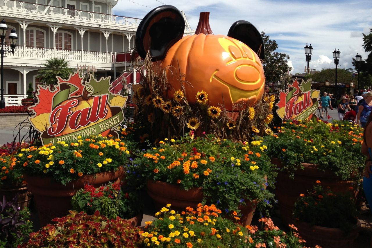 disney fall wallpaper,pumpkin,plant,world,flower,botanical garden