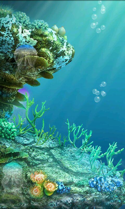 480x800 hd wallpapers latest,coral reef,marine biology,reef,underwater,natural environment