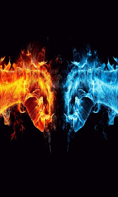 480x800 hd wallpaper for android,flame,water,heat,fire,font