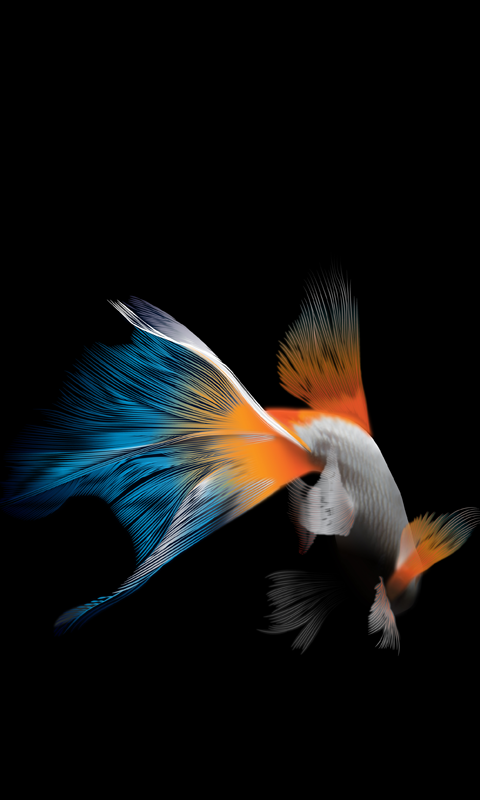 480x800 fondo de pantalla hd para android,naranja,ala,pez,pez de colores,pluma