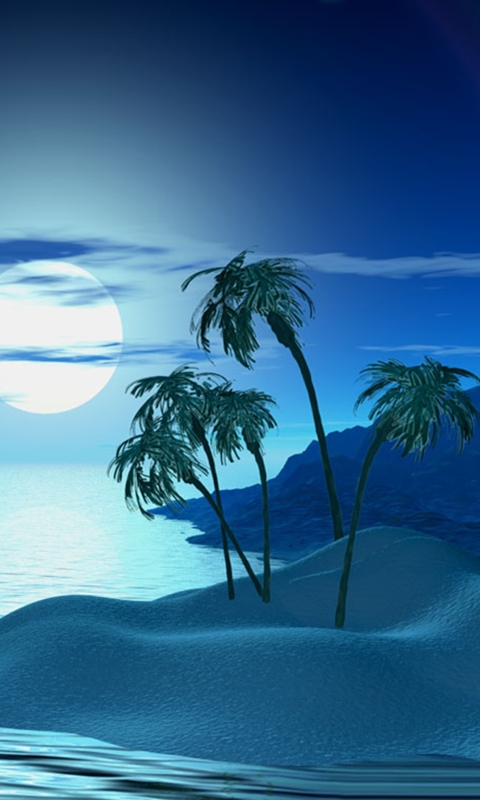 480x800 fonds d'écran hd samsung,la nature,ciel,bleu,palmier,arbre