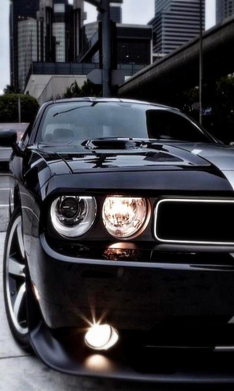 480x800 hd wallpaper für android,landfahrzeug,fahrzeug,auto,muscle car,kapuze