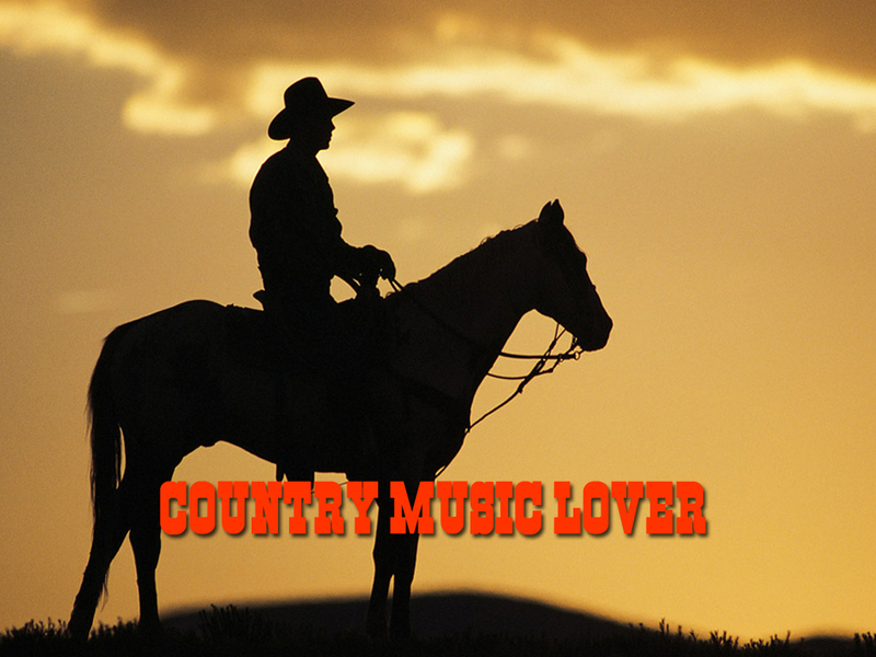 country musik wallpaper,pferd,zaum,himmel,silhouette,hengst