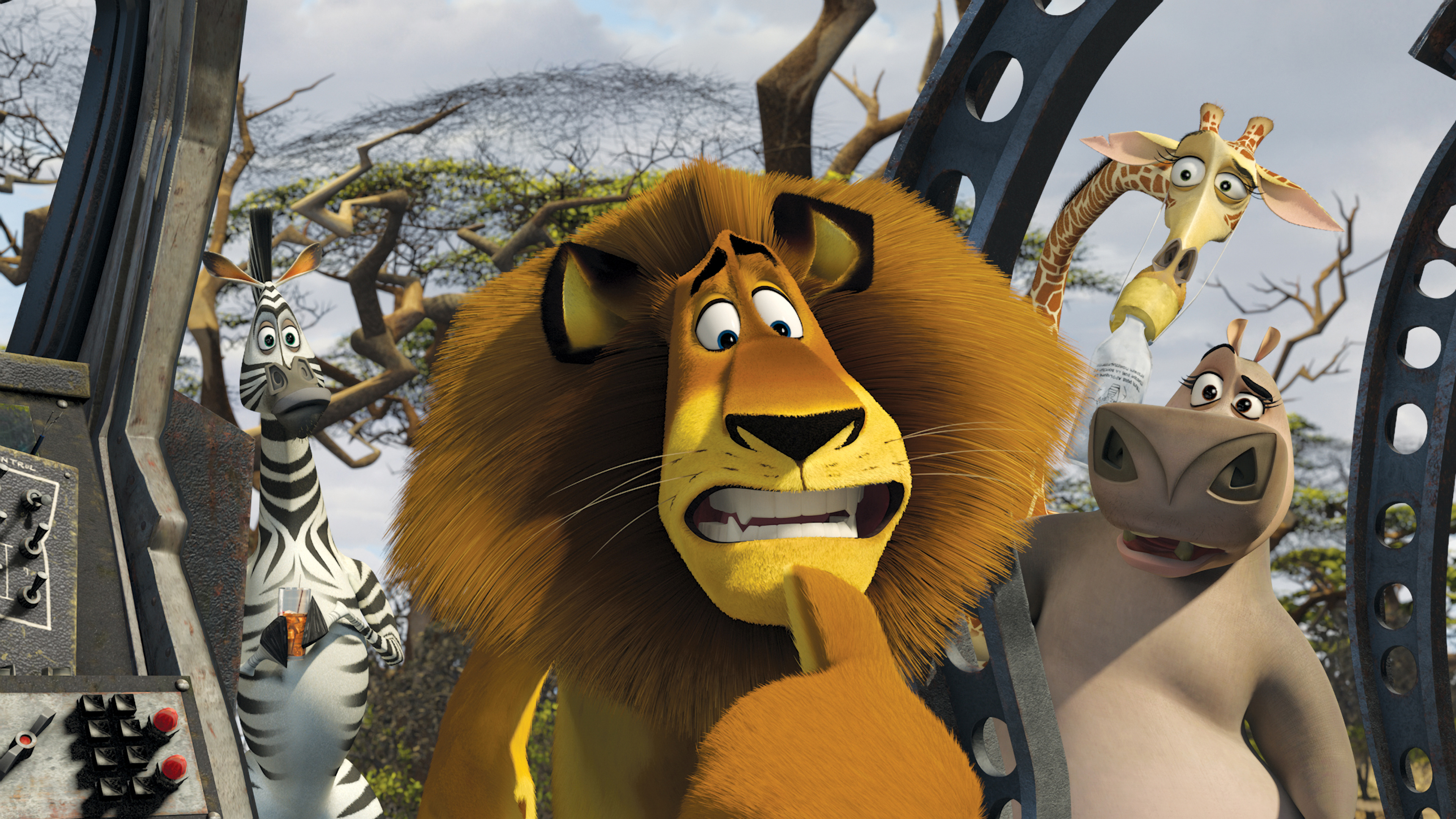 fondo de pantalla de madagascar,dibujos animados,animación,león,fauna silvestre,hocico
