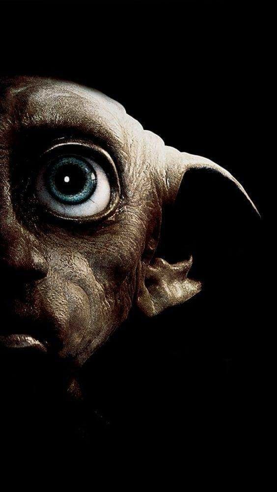 wallpaper do harry potter,head,eye,snout,fictional character,darkness