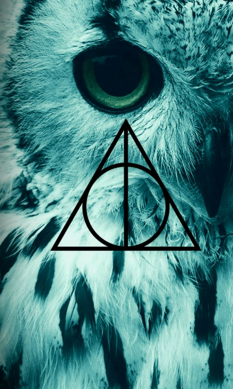 wallpaper do harry potter,eye,aqua,organ,graphic design,illustration