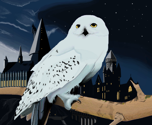 papier peint faire harry potter,hibou,oiseau,harfang des neiges,oiseau de proie