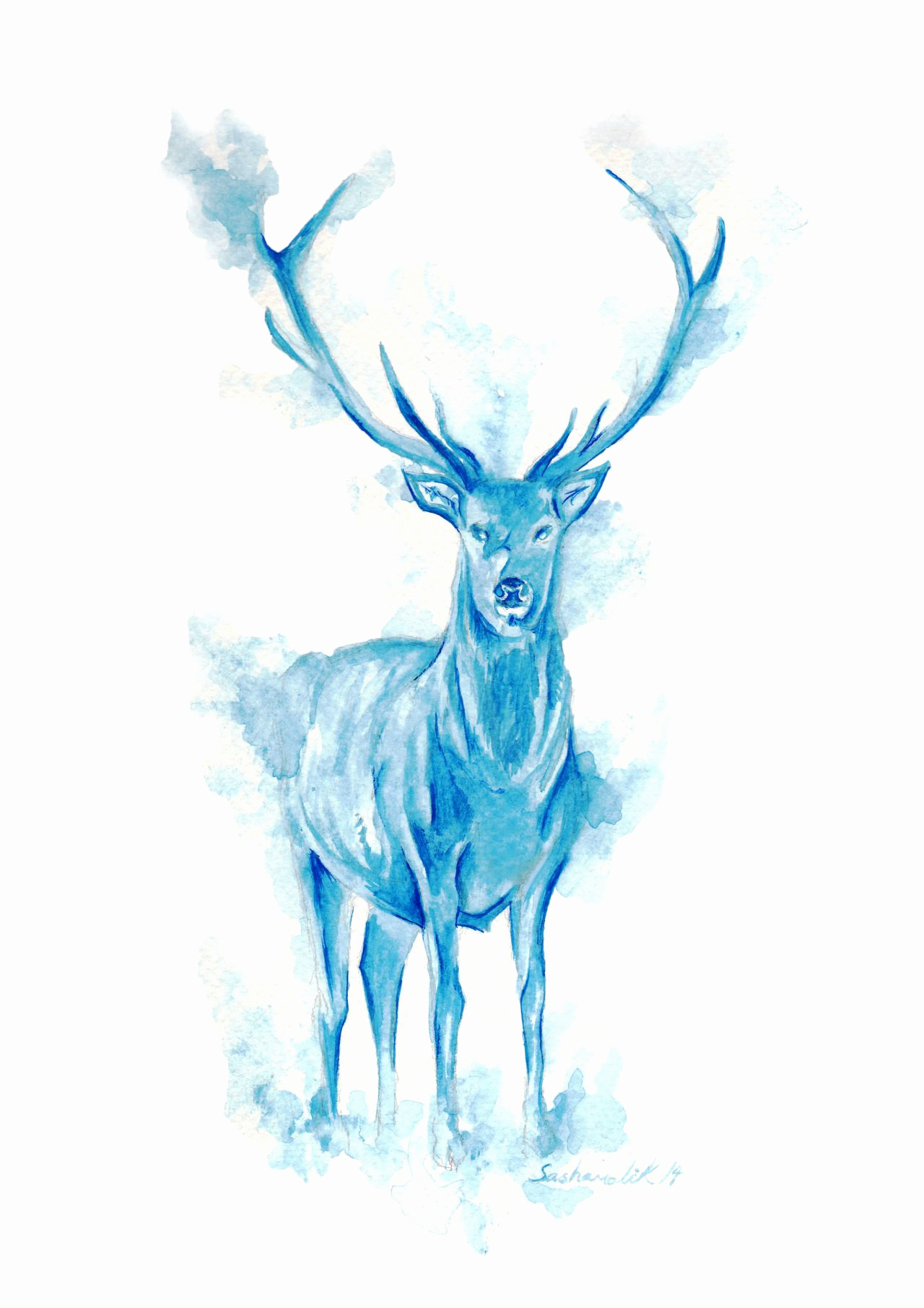 wallpaper do harry potter,deer,elk,reindeer,wildlife,horn