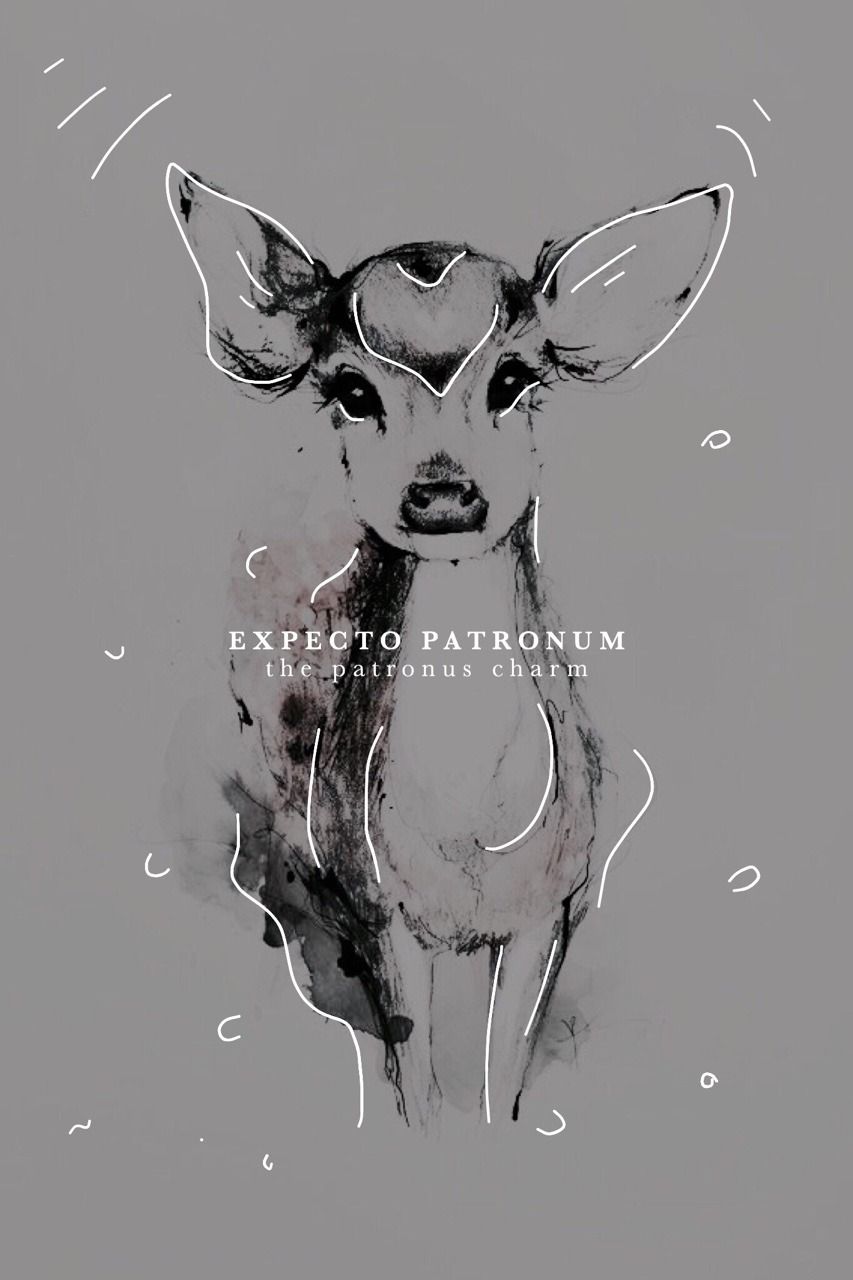 harry potter spells wallpaper,drawing,snout,illustration,deer,sketch