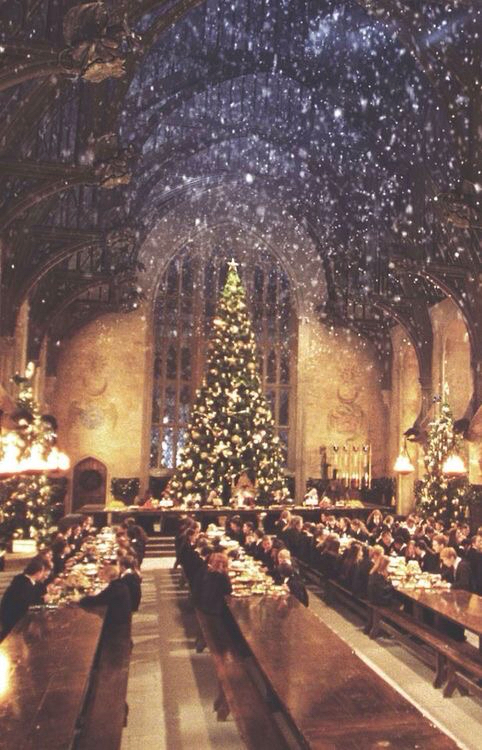 harry potter navidad fondos de pantalla,lugares sagrados,árbol de navidad,arquitectura,árbol,nochebuena