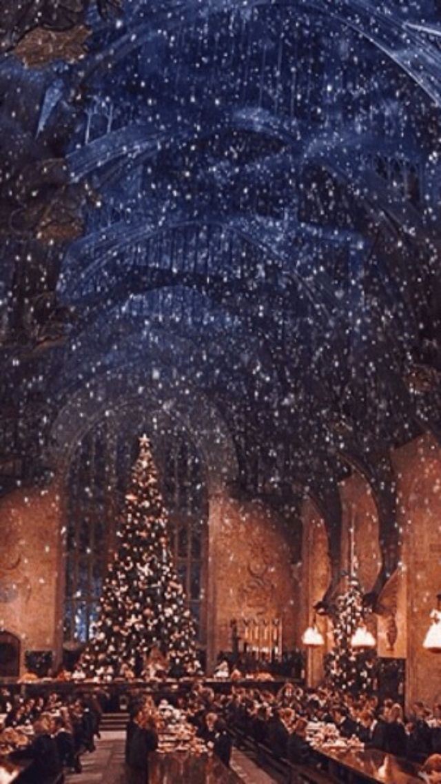 harry potter christmas wallpaper,tree,architecture,atmosphere,night,world