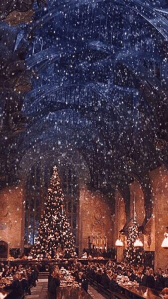 sfondo di natale di harry potter,albero,architettura,atmosfera,notte,mondo