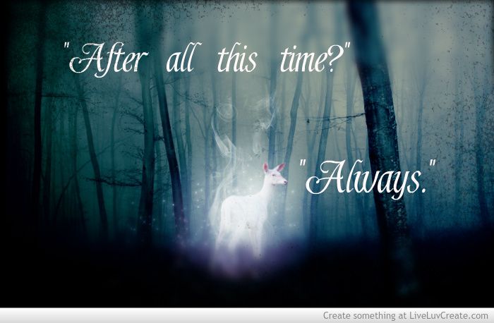 harry potter always wallpaper,text,photograph,font,snapshot,darkness