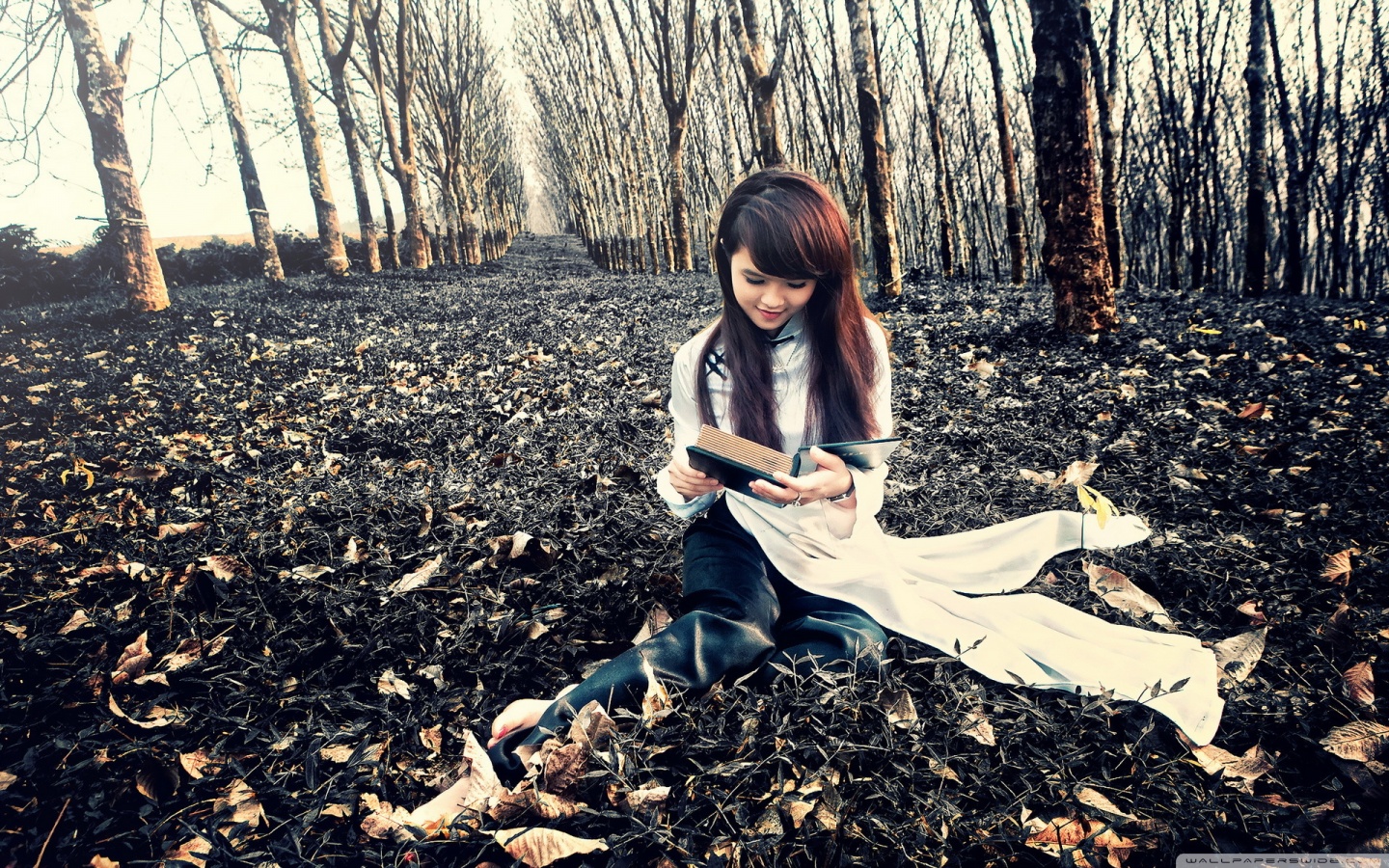 girl reading book wallpapers,people in nature,tree,leaf,forest,woodland
