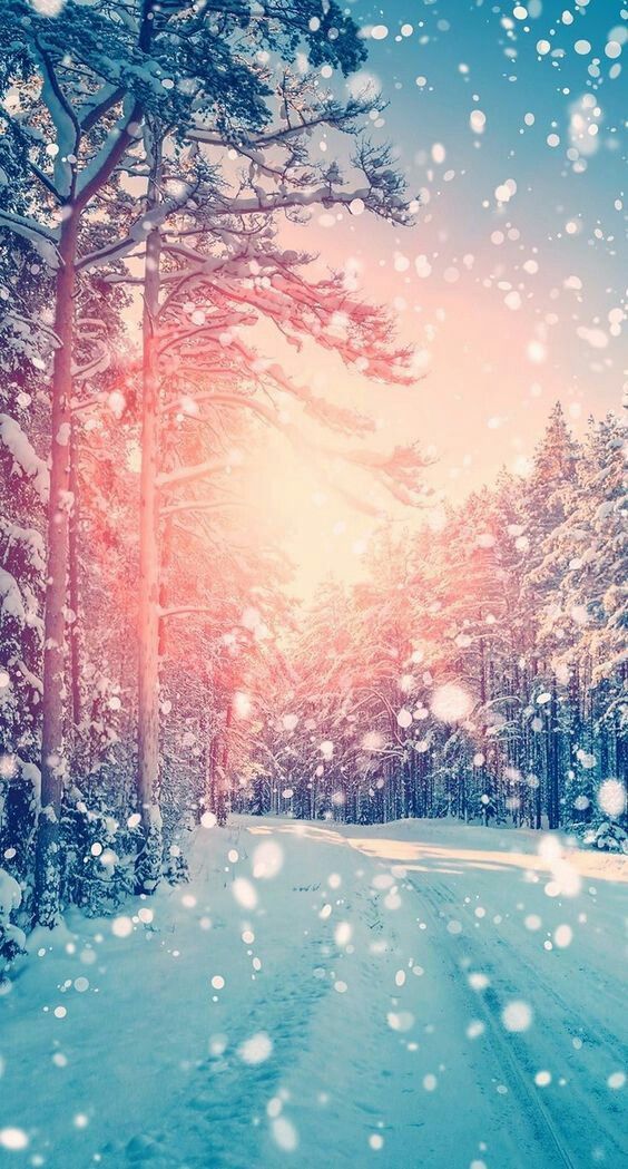 wallpaper ideas for phone,sky,illustration,winter,tree,sunlight