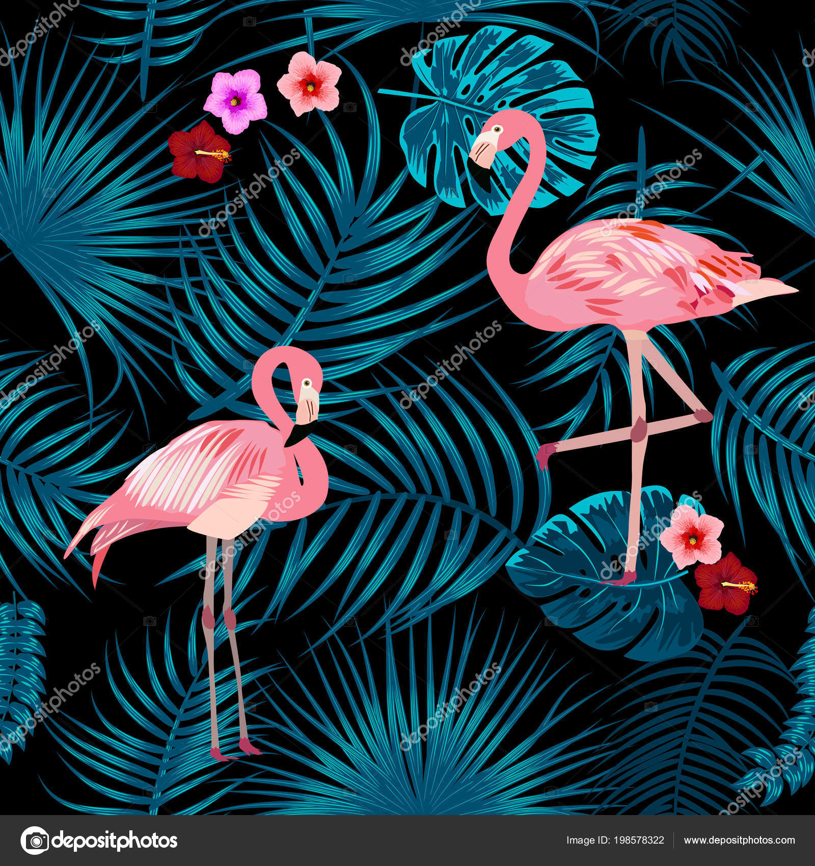 kitap wallpaper,bird,flamingo,greater flamingo,water bird,pink