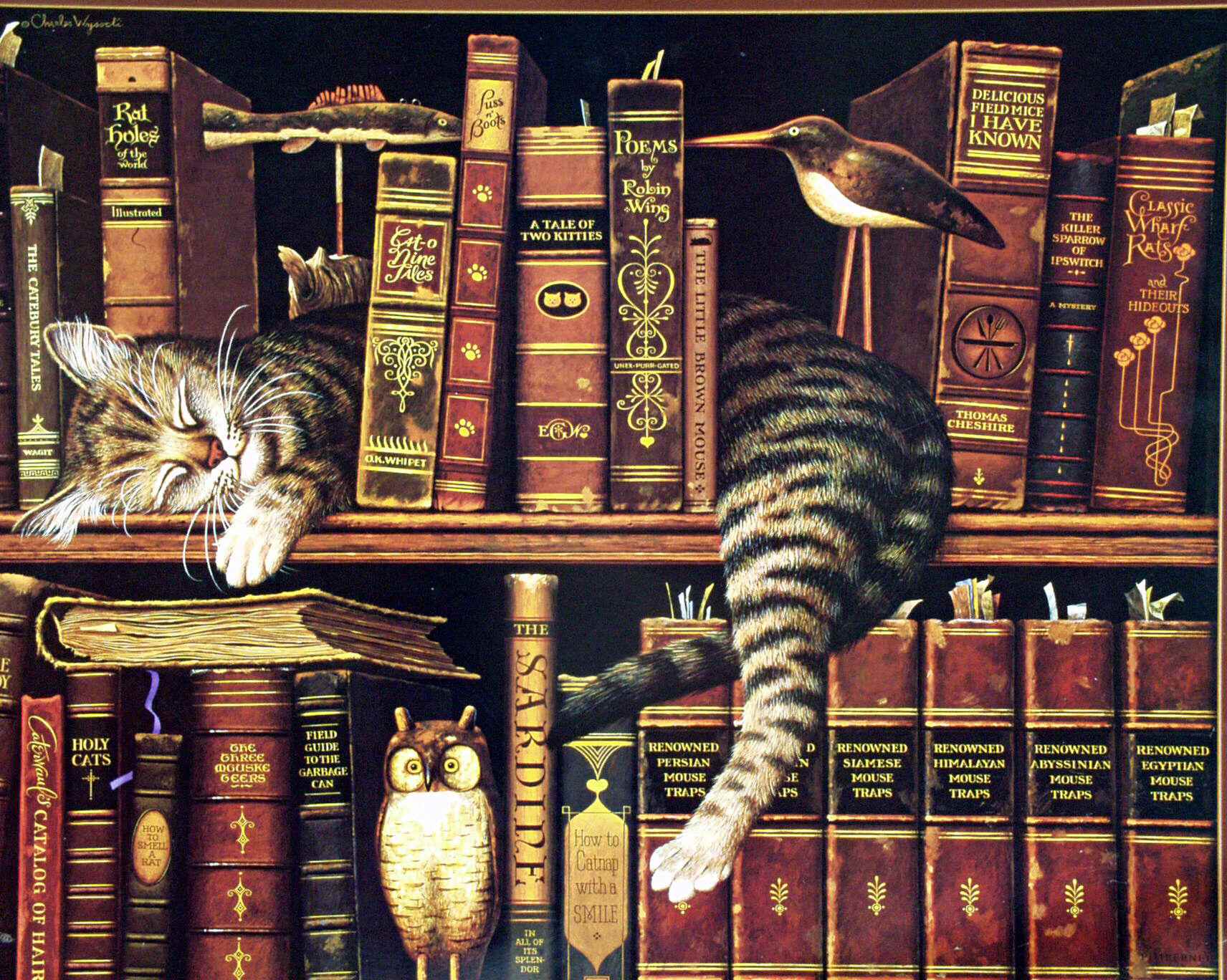 kitap wallpaper,still life,bookcase,art,cat,furniture