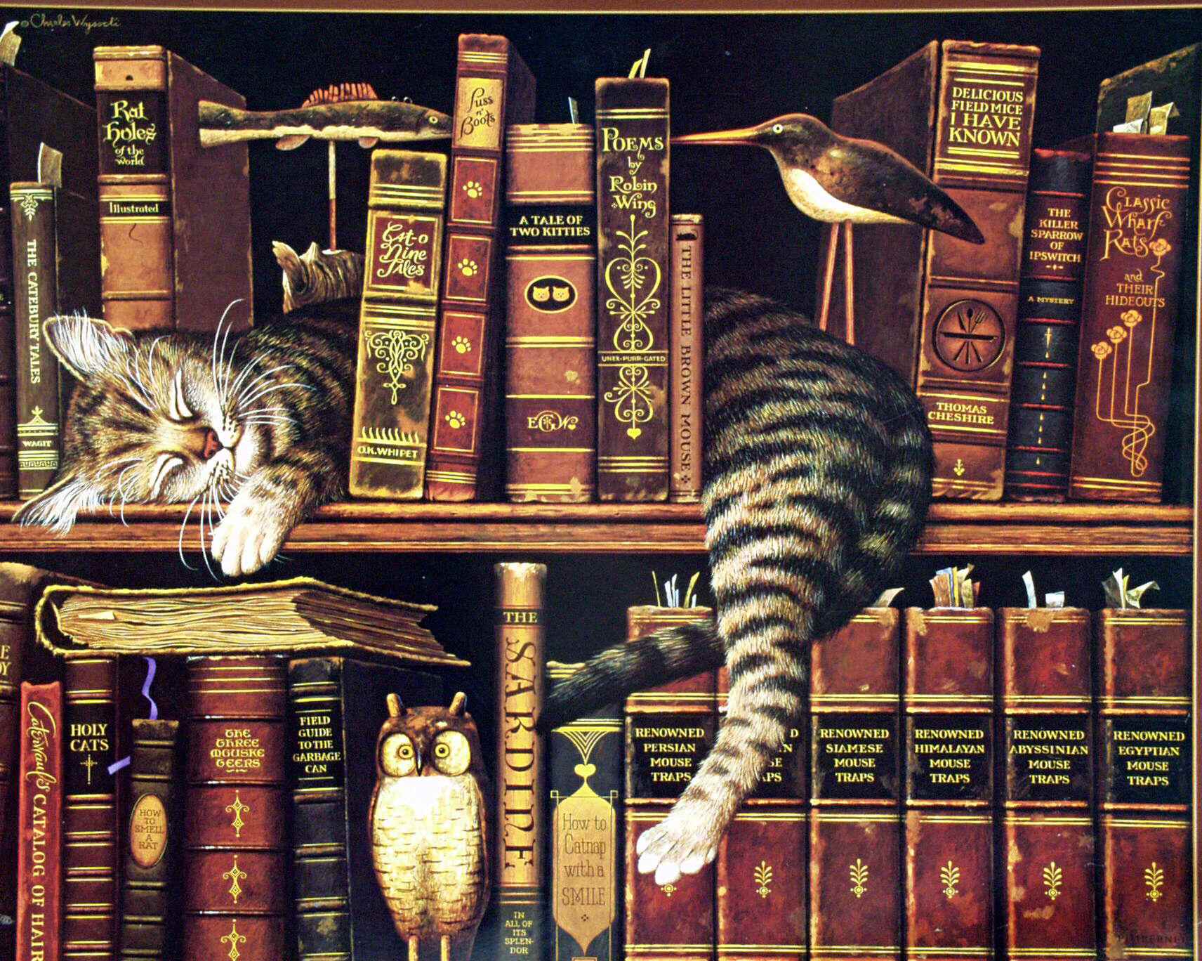 kitap wallpaper,naturaleza muerta,librero,arte,gato,mueble