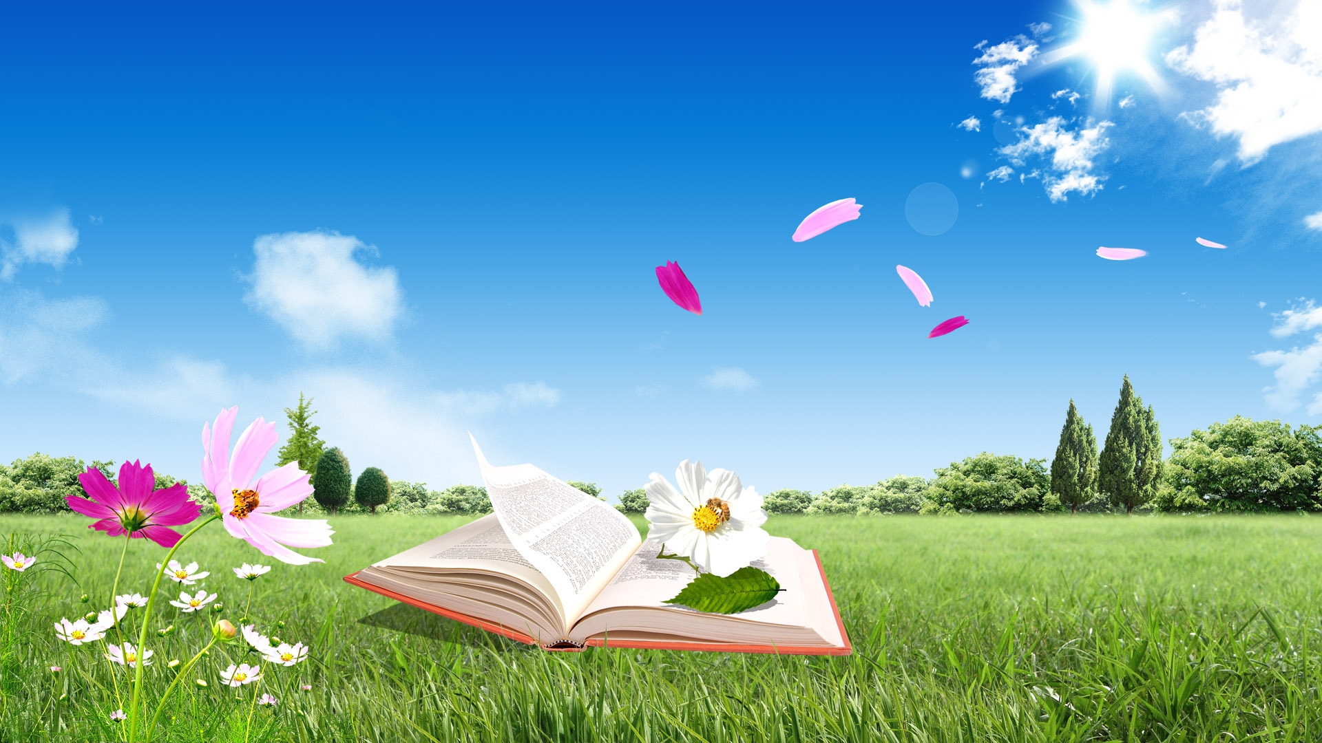 books wallpaper download,people in nature,natural landscape,nature,sky,grass