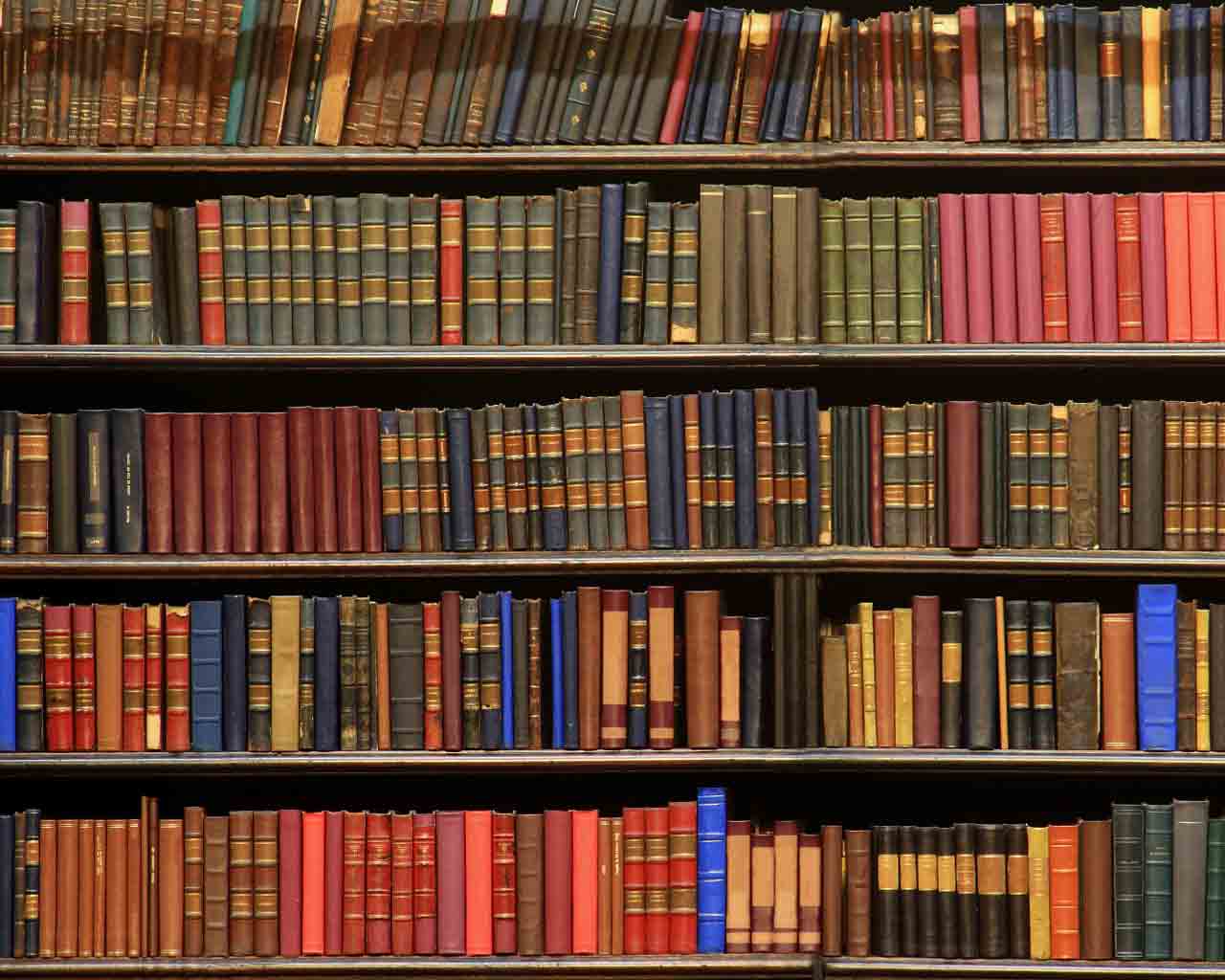 book images wallpaper,shelving,bookcase,shelf,library,book (425149