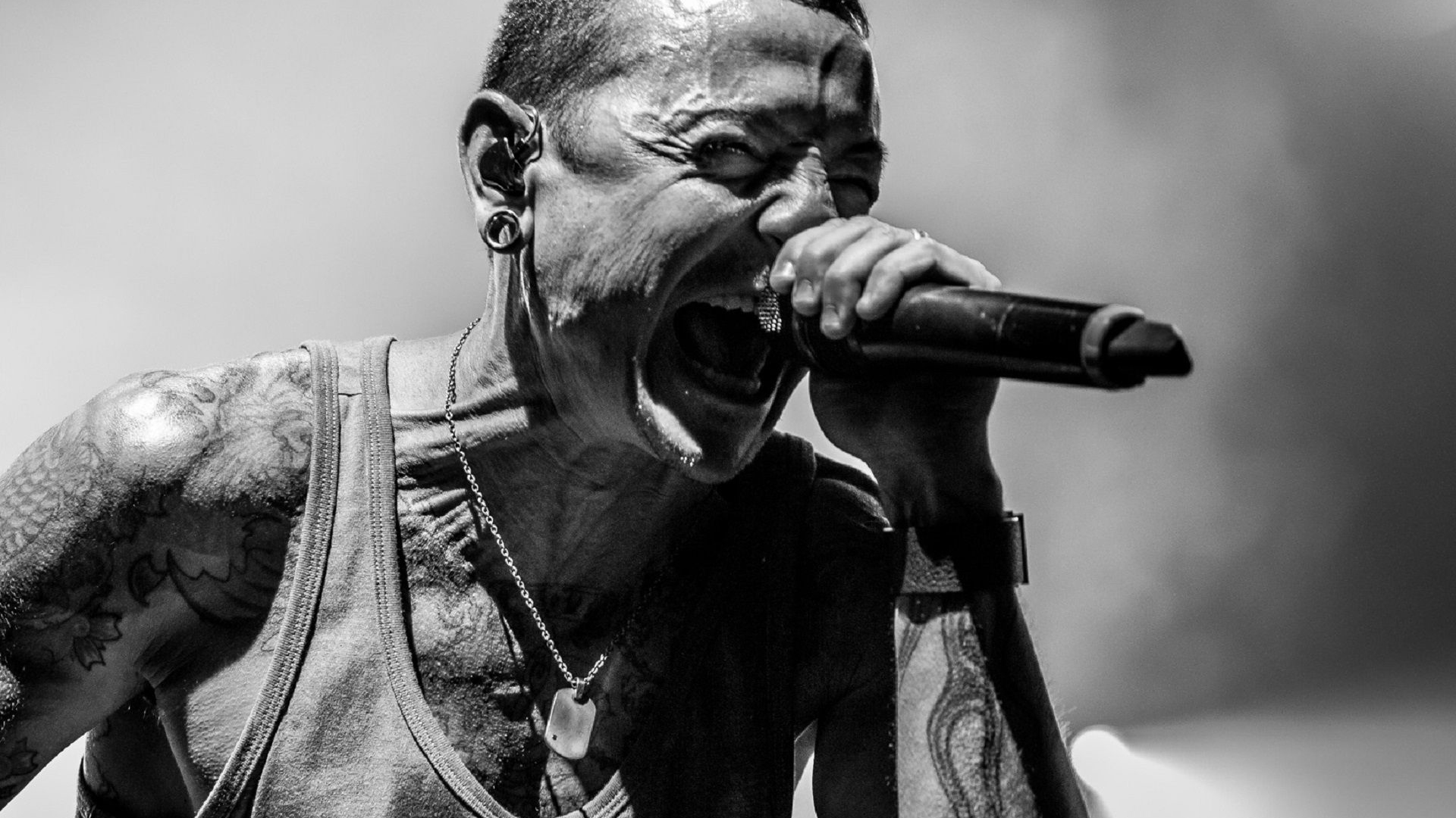 chester wallpaper,microphone,singing,singer,music,black and white