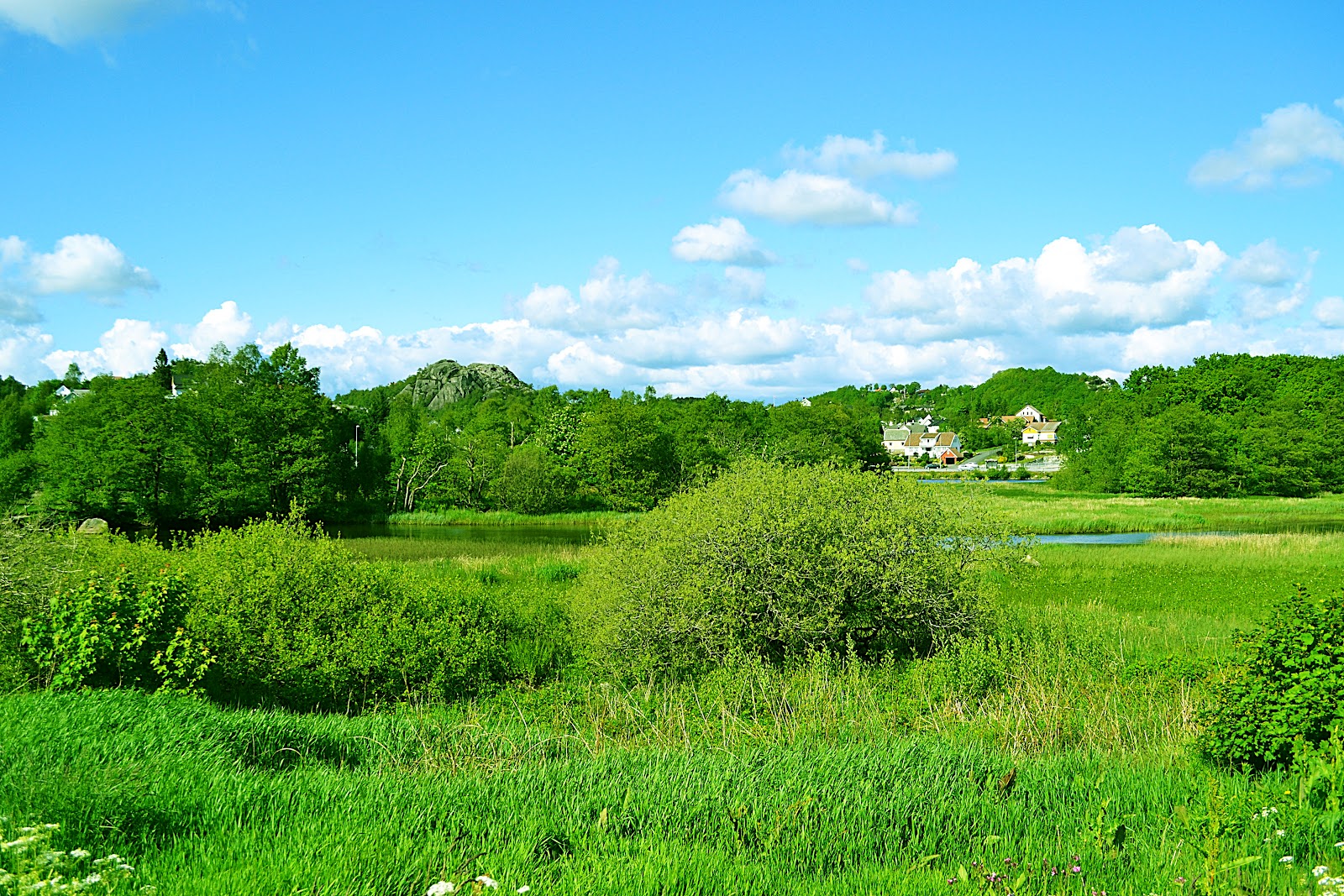 plus beaux fonds d'écran pour mobile,paysage naturel,prairie,vert,la nature,prairie