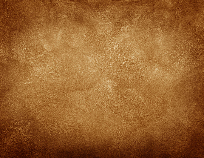 book cover wallpaper,brown,skin,leather,atmosphere,fur