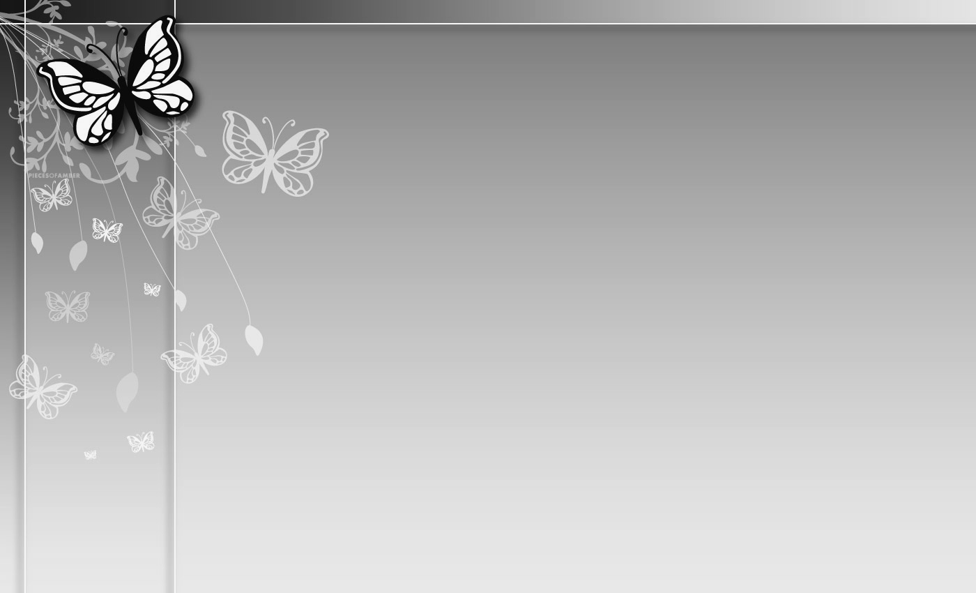 wallpapers powerpoint,butterfly,black and white,moths and butterflies,plant,insect