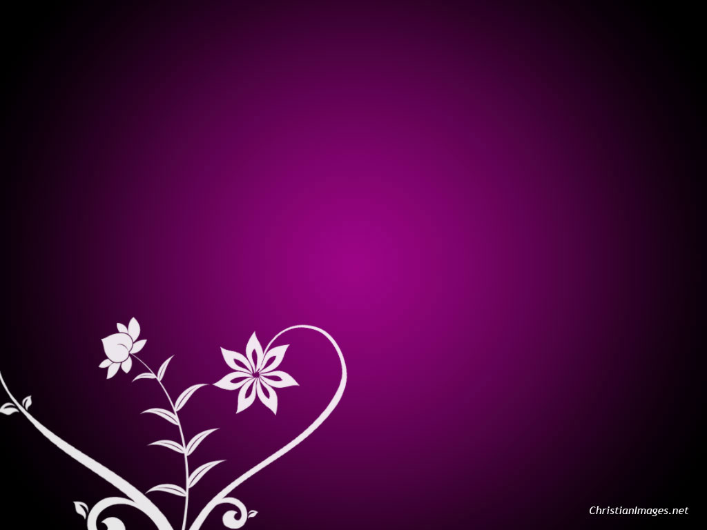 fonds d'écran powerpoint,violet,violet,rose,lilas,plante