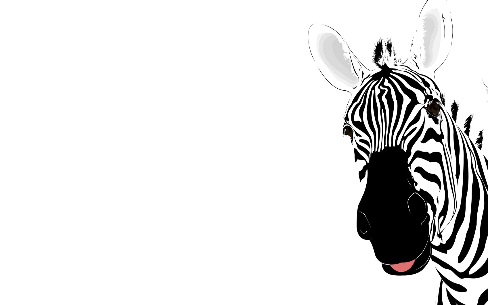 come va lo sfondo,bianca,zebra,bianco e nero,testa,natura
