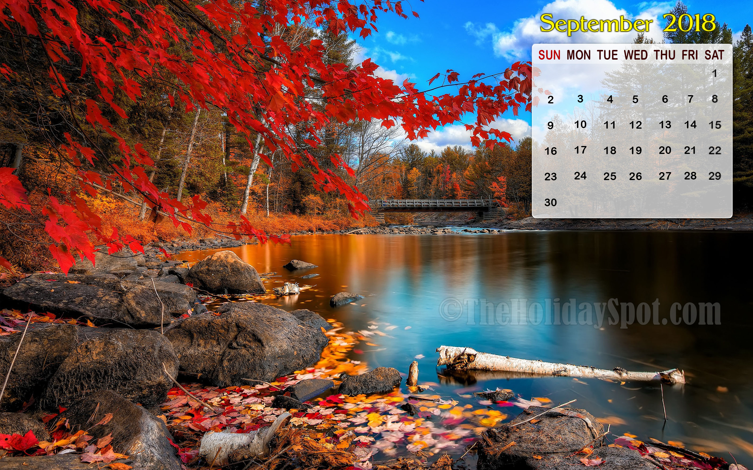 無料デスクトップカレンダー壁紙,自然,木,自然の風景,葉,秋