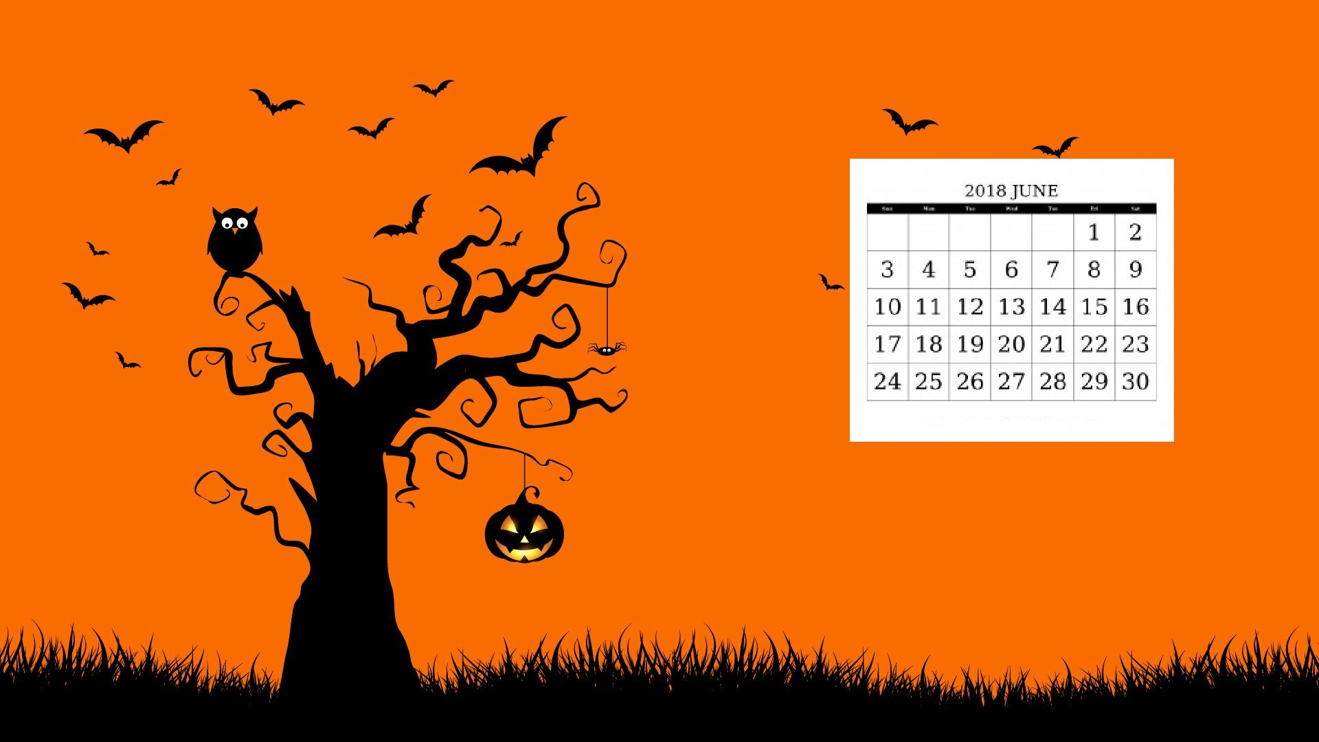 10 월 달력 벽지,주황색,나무,폰트,하늘,야생 동물