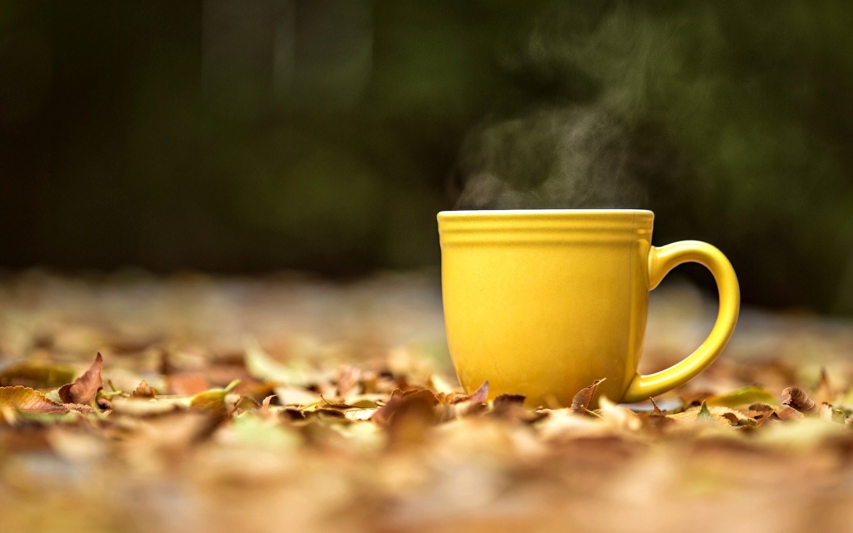 carta da parati tazza da tè,tazza,tazza di caffè,tazza,giallo,fotografia di still life