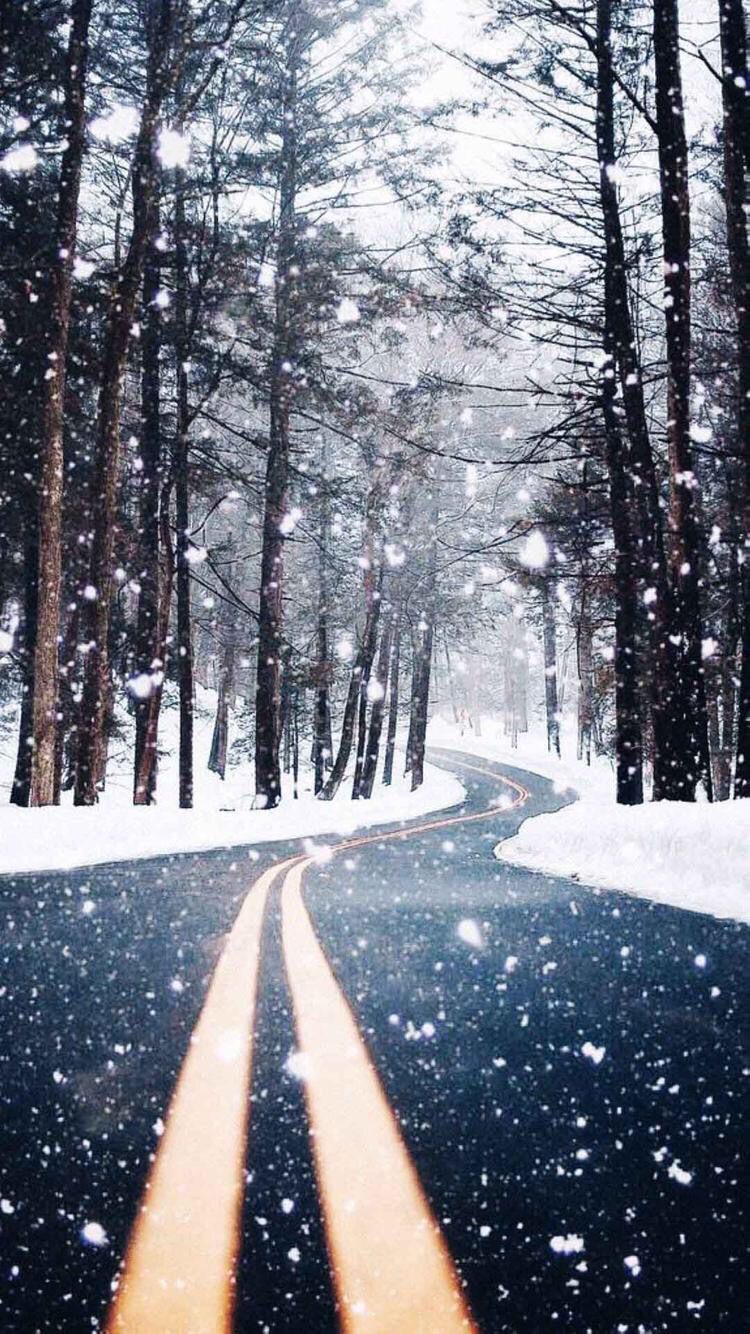 road wallpaper iphone,snow,tree,nature,winter,forest