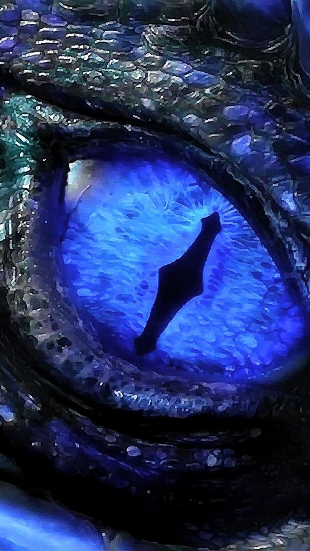 dragones wallpaper hd,blue,electric blue,cobalt blue,dolphin,marine mammal