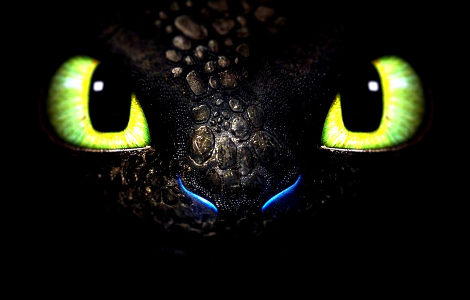 fond d'écran de dragon édenté,noir,vert,chat noir,lumière,ténèbres
