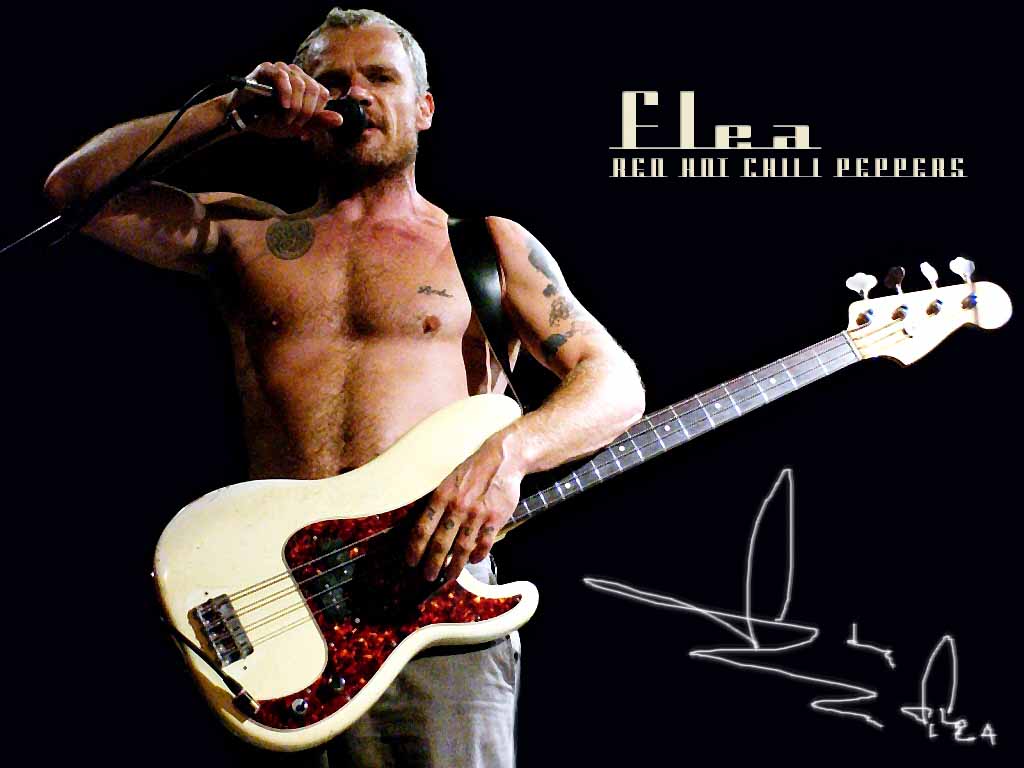 flea wallpaper,guitarist,guitar,string instrument,string instrument,musician