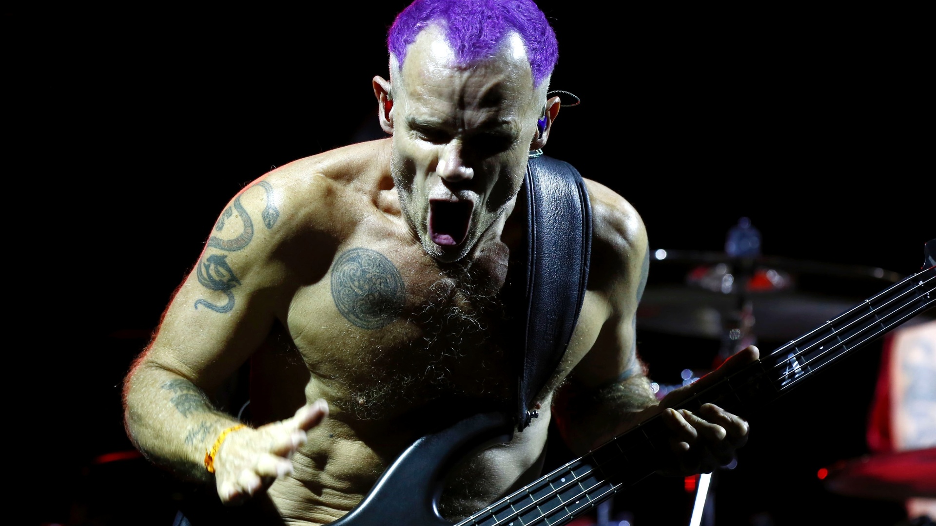 flea wallpaper,guitarist,musician,performance,music,string instrument