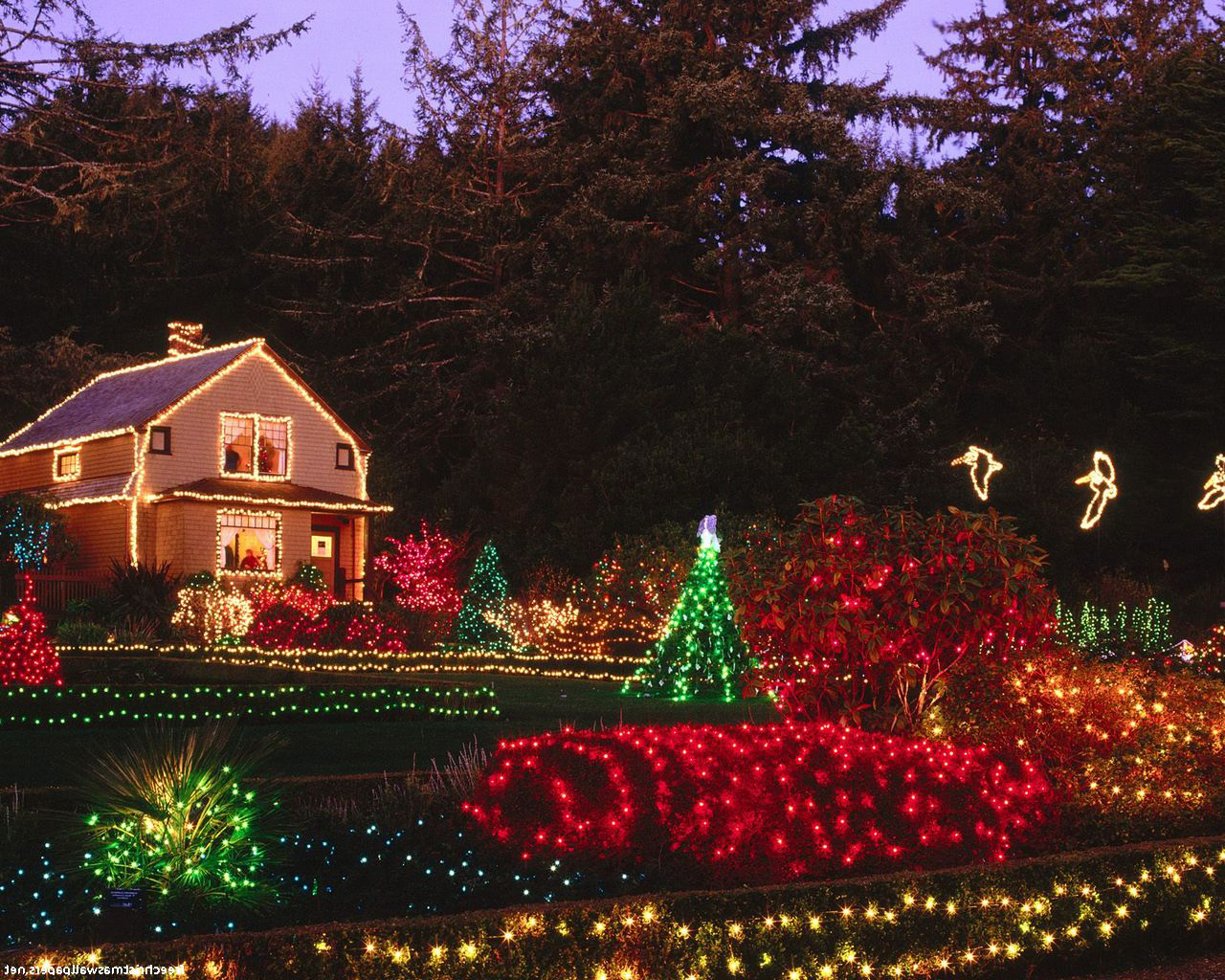 hogar dulce hogar fondo de pantalla,luces de navidad,decoración navideña,encendiendo,ligero,casa