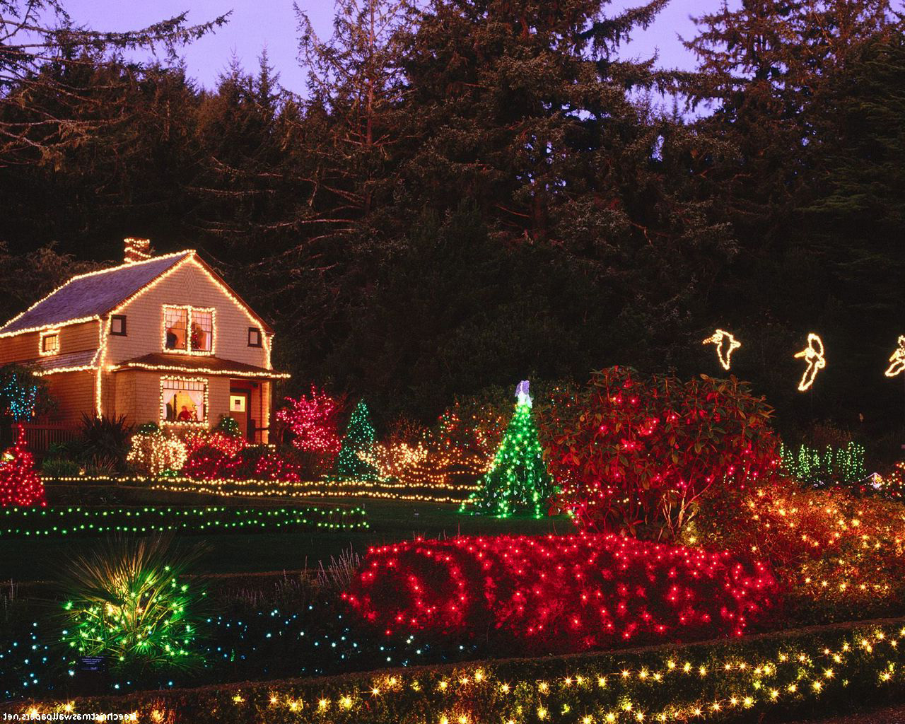 carta da parati casa dolce casa,luci di natale,decorazione natalizia,illuminazione,leggero,casa