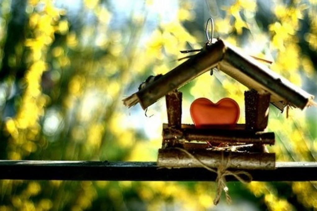 家の甘い家の壁紙,自然,巣箱,空,木,家