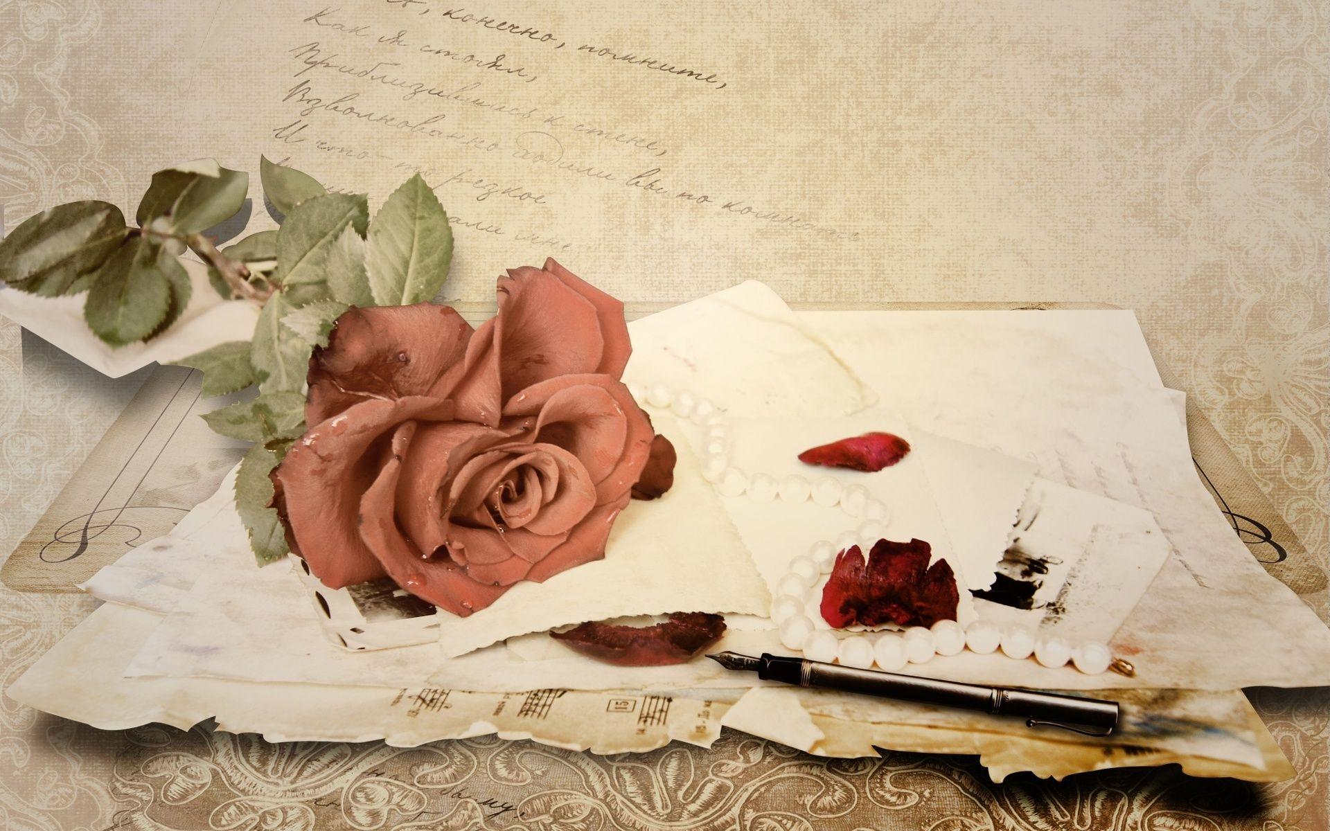 古いバラの壁紙,庭のバラ,赤,ローズ,花,ピンク