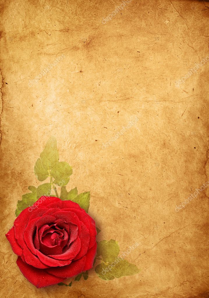 古いバラの壁紙,赤,庭のバラ,ローズ,ピンク,花