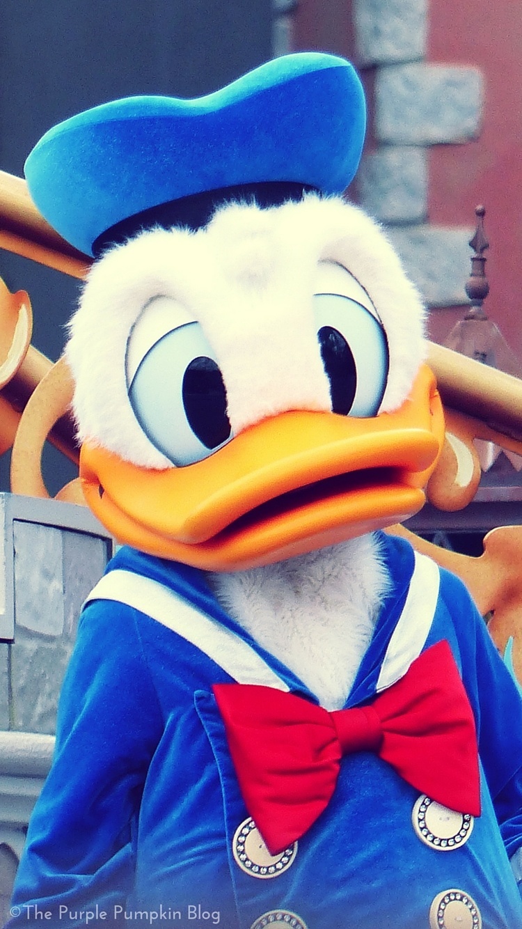 donald duck iphone wallpaper,animierter cartoon,karikatur,maskottchen,ente,plüschtier