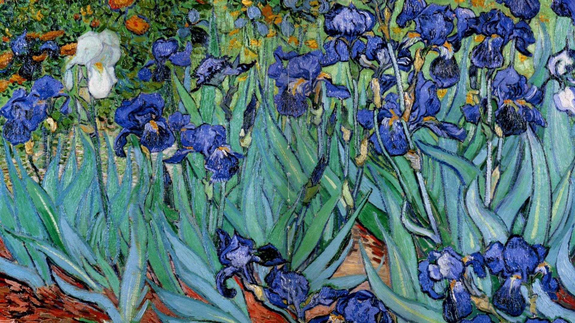 van gogh pintura fondos de pantalla,flor,planta,planta floreciendo,iris,iris