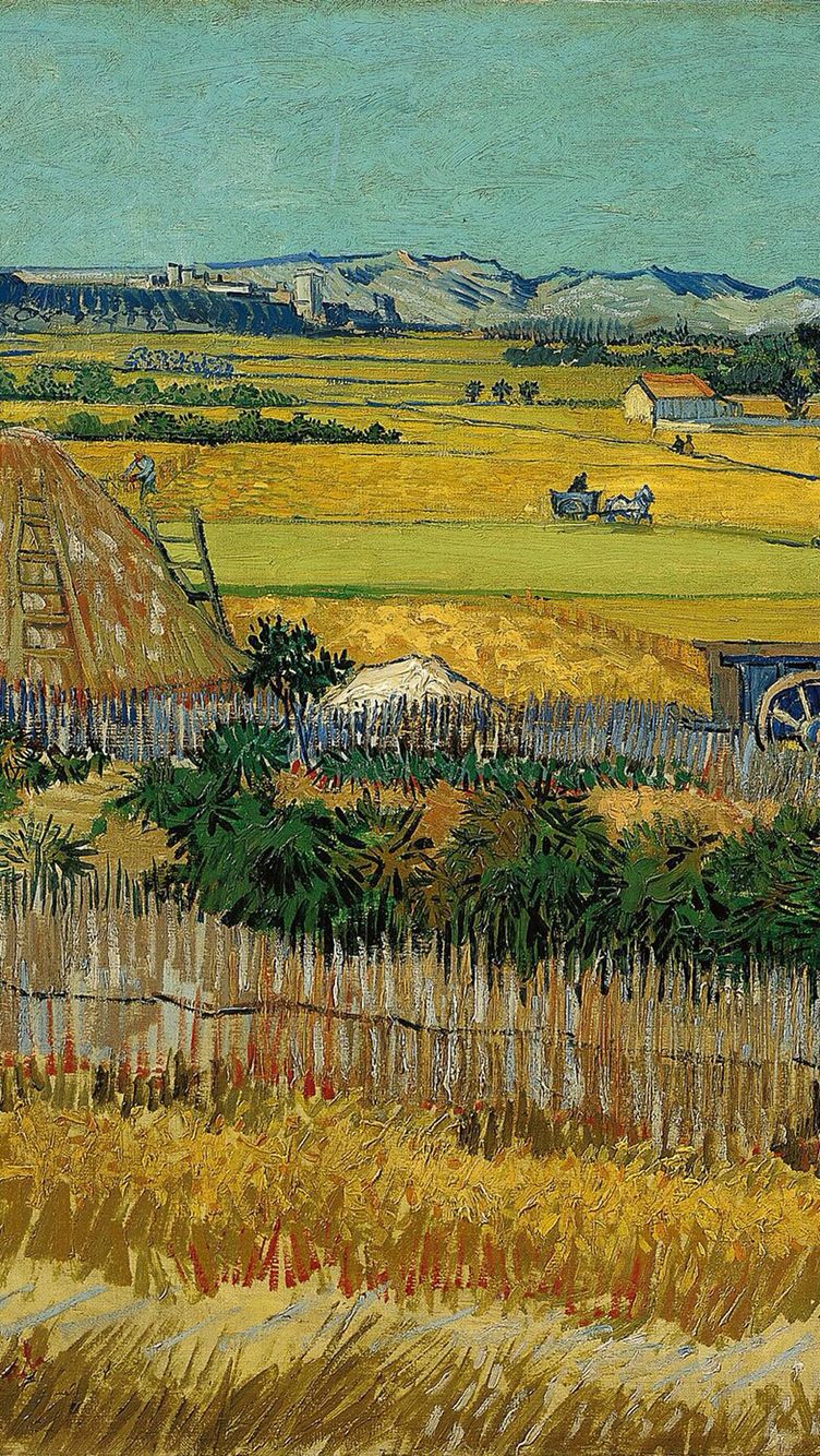 van gogh paintings wallpaper,painting,field,harvest,grass family,plain